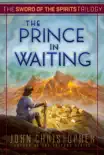 The Prince in Waiting synopsis, comments