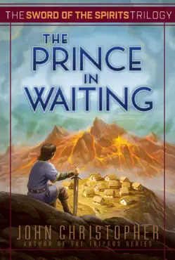 the prince in waiting book cover image