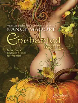 enchanted again book cover image