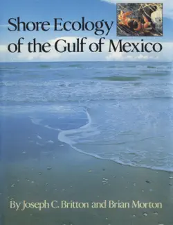 shore ecology of the gulf of mexico book cover image