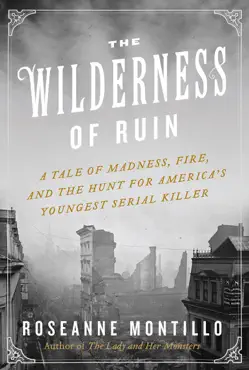 the wilderness of ruin book cover image