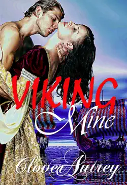 viking mine book cover image