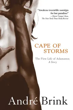 cape of storms book cover image