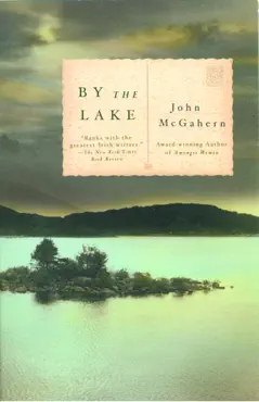 by the lake book cover image