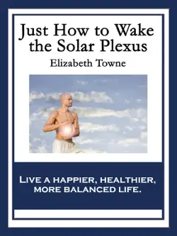 just how to wake the solar plexus book cover image