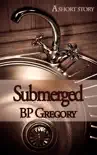 Submerged synopsis, comments