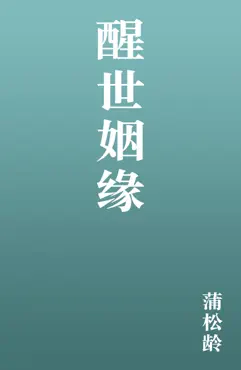 醒世姻缘 book cover image