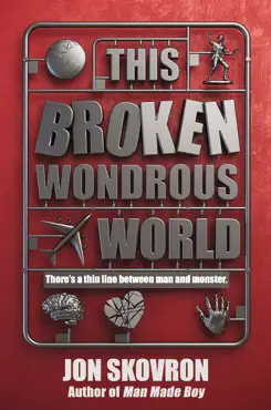 this broken wondrous world imagen de la portada del libro