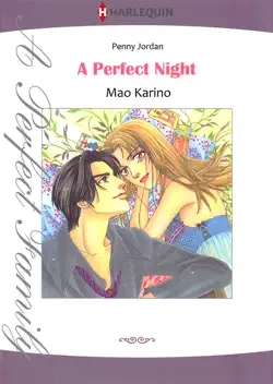 a perfect night book cover image