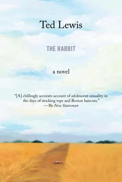 the rabbit book cover image