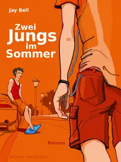 zwei jungs im sommer book cover image