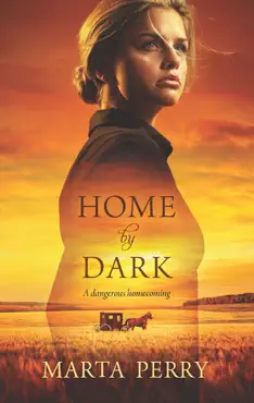 home by dark book cover image