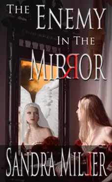 the enemy in the mirror book cover image