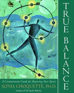 true balance book cover image
