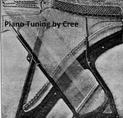 piano tuning (illustrated) book cover image