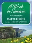 A Week in Summer synopsis, comments
