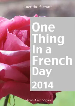 one thing in a french day 2013 book cover image
