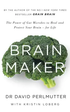 brain maker imagen de la portada del libro
