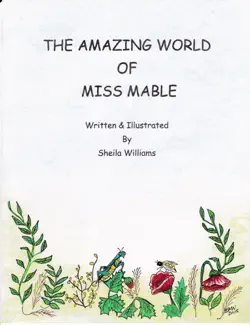 the amazing world of miss mabel imagen de la portada del libro