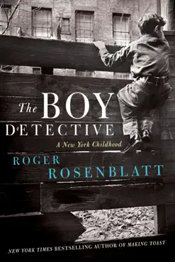 the boy detective book cover image