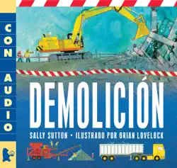 demolicion book cover image