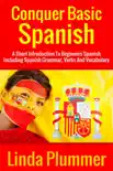 Conquer Basic Spanish synopsis, comments