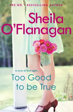 too good to be true book cover image