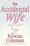 The Accidental Wife sinopsis y comentarios