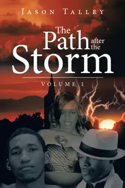 the path after the storm book cover image