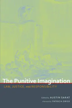 the punitive imagination book cover image