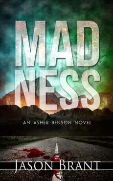 madness book cover image