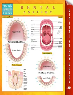 dental anatomy speedy study guides book cover image
