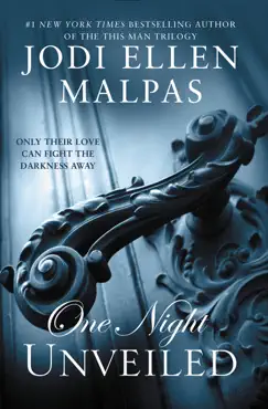 one night: unveiled book cover image