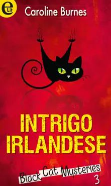 intrigo irlandese book cover image