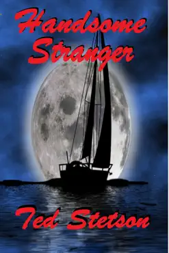 the handsome stranger book cover image
