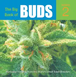 the big book of buds book cover image