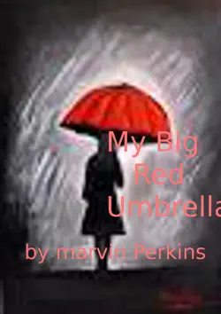 my big red umbrella book cover image