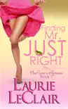 Finding Mr. Just Right synopsis, comments