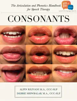 consonants book cover image