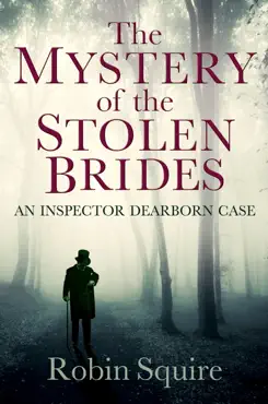 the mystery of the stolen brides book cover image