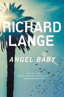 angel baby book cover image
