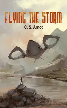 flying the storm book cover image