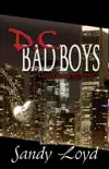 DC Badboys Series - A Romantic Mystery Set synopsis, comments