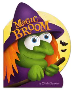 magic broom book cover image