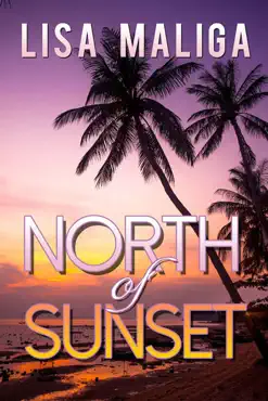 north of sunset book cover image