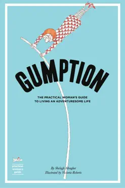gumption book cover image