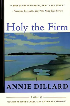 holy the firm book cover image