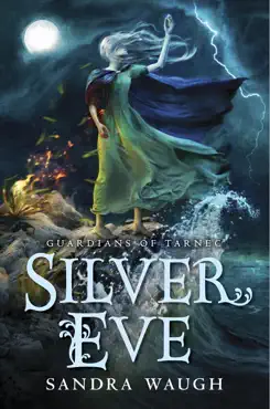silver eve book cover image