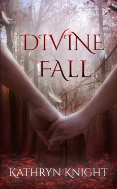 divine fall book cover image