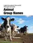 Animal Group Names synopsis, comments